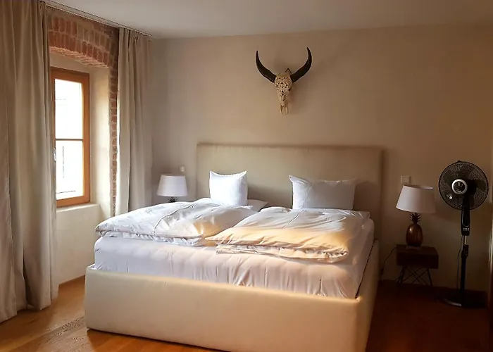 Hotel Rote19